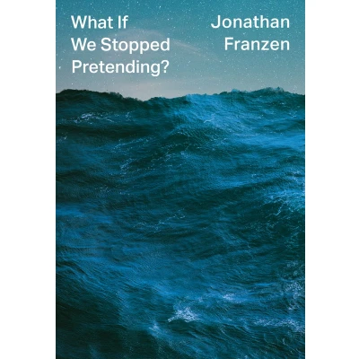Afbeelding van What If We Stopped Pretending