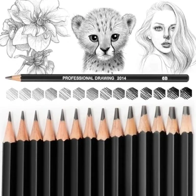 Image de Blendura 14pcs Crayon Dessin Professionnels, 12B 10B 8B 7B 6B 5B 4B 3B 2B HB 2H 4H 6H, Ecriture Douce Croquis Papier Dessin, Adaptée aux Enfants, Adultes et Artistes Débutants