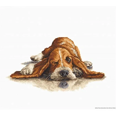 Afbeelding van Borduurpakket basset om te borduren van Luca s b2341