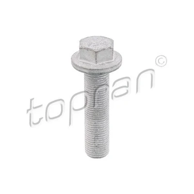 Afbeelding van TOPRAN 701 617 Riemschijfschroef RENAULT: TRAFIC 2 Kasten, MEGANE Coupe Cabriolet, GRAND SCENIC 3