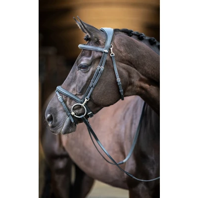 Image de LeMieux Kudos Bride Work Noir Full