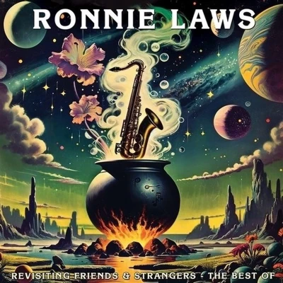 Afbeelding van Ronnie Laws Revisiting Friends &amp; Strangers the Best of (LP)