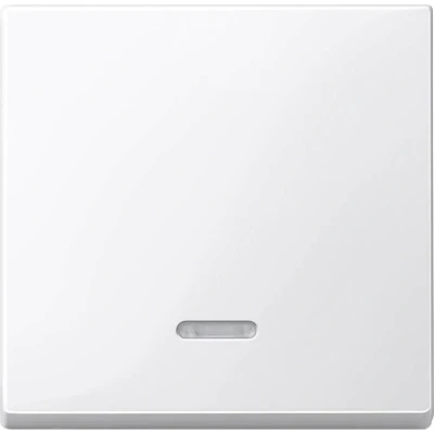 Afbeelding van Merten 436019 Controleschakelaar Afdekking System M, 1 M Smart, Plan, Creativ Polar wit (glanzend)