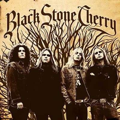 Afbeelding van Black Stone Cherry (LP)