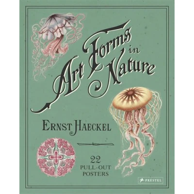 Image de Ernst Haeckel Art Forms In Nature 22 Pull Out Posters /anglais
