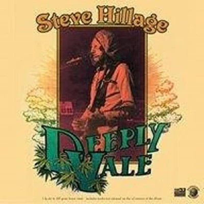 Afbeelding van Steve Hillage Live At Deeply Vale