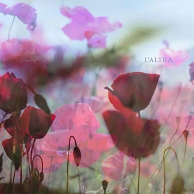 Afbeelding van L&#039;altra In the Afternoon (2 LPs)