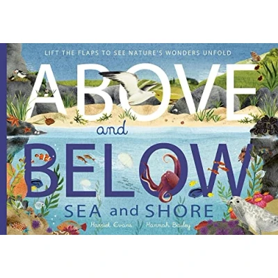 Afbeelding van Above and Below Below: Sea Shore