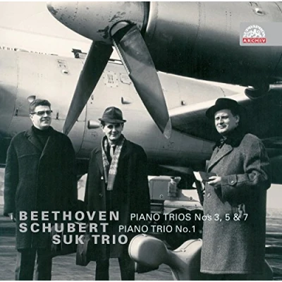 Afbeelding van Suk Trio Beethoven &amp; Schubert: Piano Trios (2 CD)