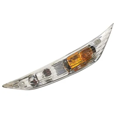 Afbeelding van P2R (gemotoriseerd) knipperlicht, aanpasbaar, Piaggio 50 ZIP 2000&gt; AV links, transparant CE