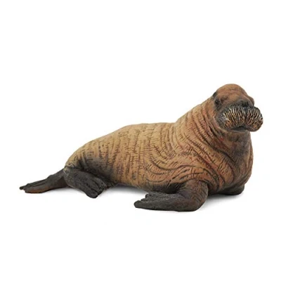 Afbeelding van Collecta Zeedieren: Walruskalf 7 Cm Bruin