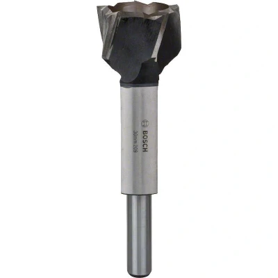 Afbeelding van Bosch Accessories 2608585747 Schijfsnijder 30 x 140 mm 1 stuk(s)