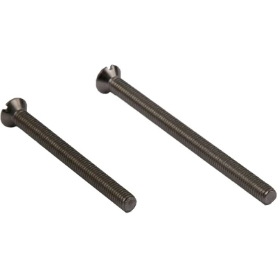 Afbeelding van Ami Patentschroef M5x70mm RVS (Per 10 stuks)