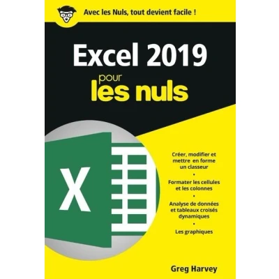 Image de Excel 2019 Poche pour les Nuls