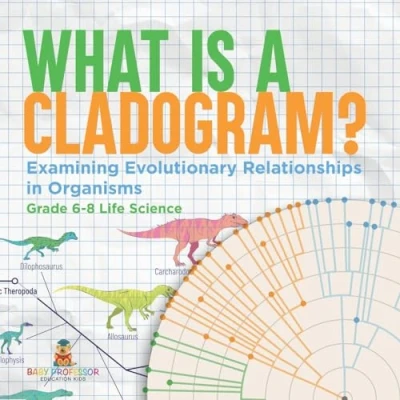 Afbeelding van What is a Cladogram? Examining Evolutionary Relationships in Organisms Grade 6 8 Life Science