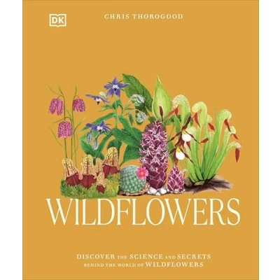 Afbeelding van Wildflowers