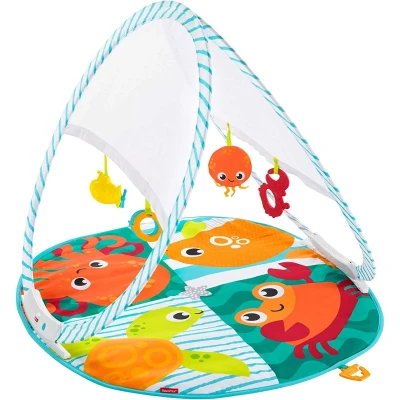 Afbeelding van Fisher Price Draagbare Gym