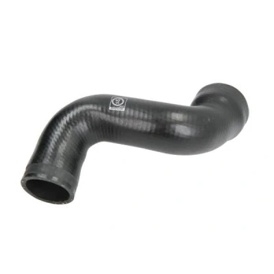 Afbeelding van THERMOTEC DCA031TT Laadluchtslang AUDI: A4 B6 Avant, B6/B7 Convertible, Saloon
