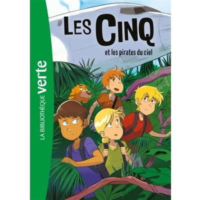Image de les Cinq 26 NED et pirates du ciel