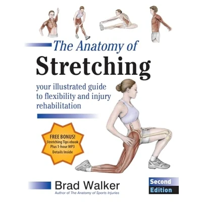 Afbeelding van The Anatomy of Stretching