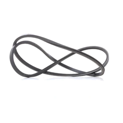 Afbeelding van Gates Poly V riem 2PJ786