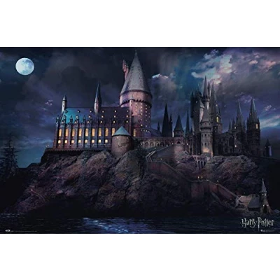 Afbeelding van GBeye Poster Hole In The Wall Harry Potter Maxi 61 X 91.5 Cm Multicolor