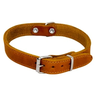 Afbeelding van Jack and Vanilla Hondenhalsband Greased Leather Cognac