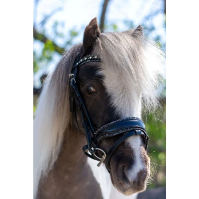 Afbeelding van HB Hoofdstel Rocky Glitter/Zwart