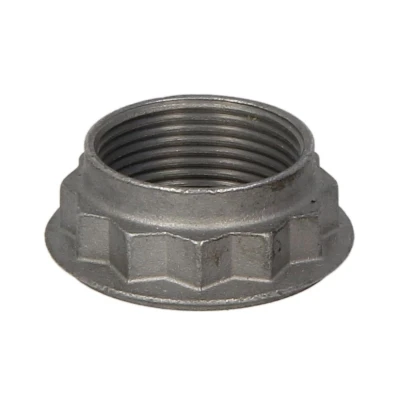 Afbeelding van Febi Bilstein Twaalfkant vlakke moer 08730