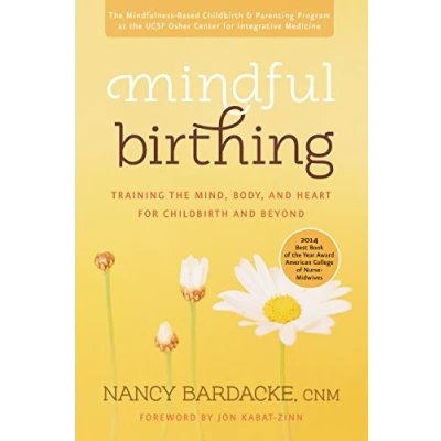 Afbeelding van Mindful Birthing