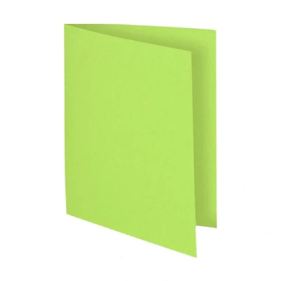 Image de Exacompta Flash chemise carton A4 (100 pièces) vert
