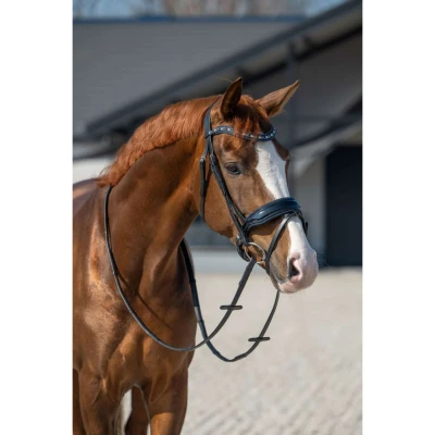 Afbeelding van HB Hoofdstel Showtime It is So Special Zwart/Navy Glitter Cob Agradi.be