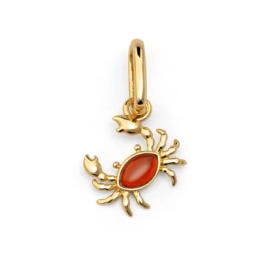 Afbeelding van Singularu CRAB Hanger, Dames, Maat: One Size, Color oro