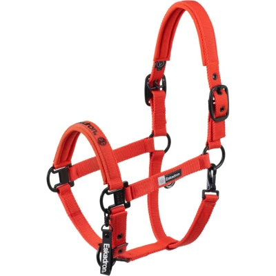 Afbeelding van Eskadron Halster Dynamics Double Pin Rood Full Agradi.be