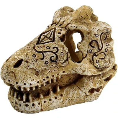 Afbeelding van Superfish Skull T Rex Maat S