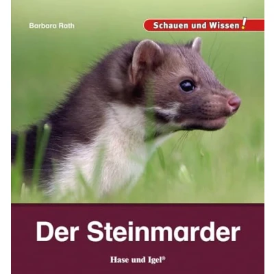 Afbeelding van Der Steinmarder
