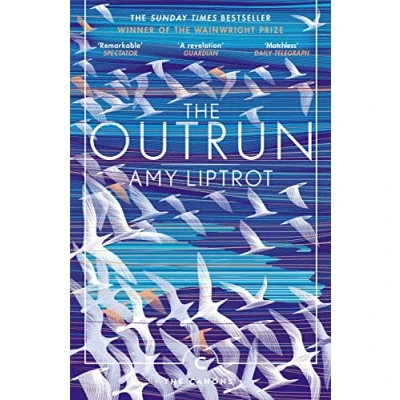 Afbeelding van The Outrun