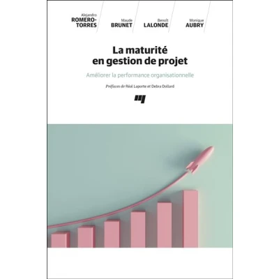 Image de La maturité en gestion de projet