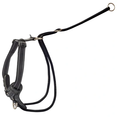 Afbeelding van Rogz Utility Stop Pull Tuig Zwart Hondenharnas 60 100x2.5 cm