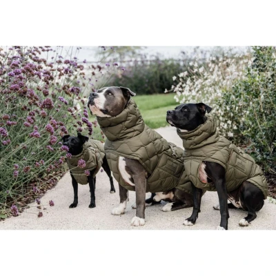 Afbeelding van Kentucky Hondendeken Winter Pina 160g Pine Green XXL