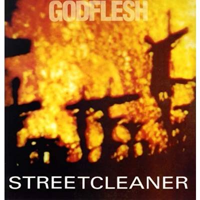 Afbeelding van Godflesh Streetcleaner (LP)