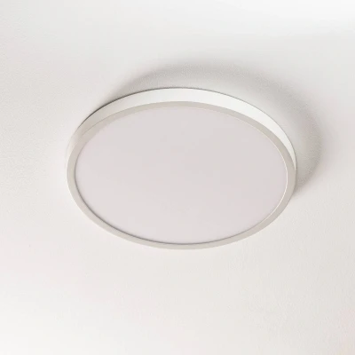 Afbeelding van Ultra platte LED plafondlamp Lero 40 cm