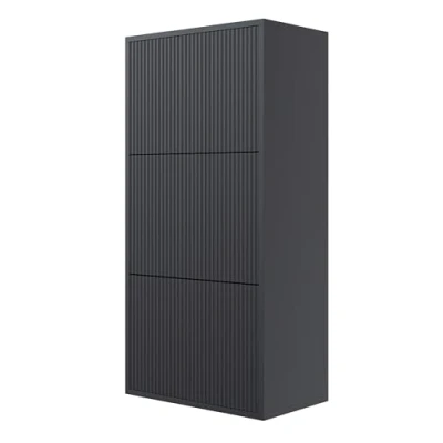 Afbeelding van Selsey VELDIO Schoenenkast drie niveaus wandmontage 50 cm Zwart