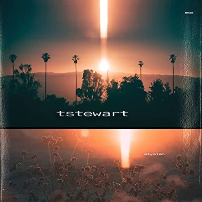 Afbeelding van Machinedrum Tstewart Elysian (LP)