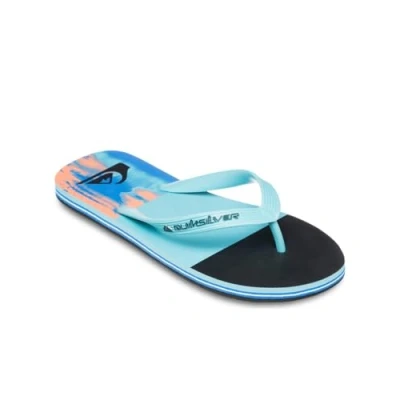 Afbeelding van Quiksilver Molokai Stripe 25 Teenslippers, Heren, Maat: 41, Bqv Kunststof
