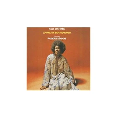 Afbeelding van Journey in Satchidananda