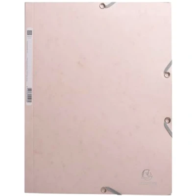 Afbeelding van Exacompta 55274E 25x Chem. 3rab+élast. A4 carte Nude