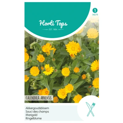 Afbeelding van Calendula Arvensis Akkergoudsbloem Hortitops