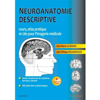 Image de Neuroanatomie descriptive