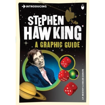Afbeelding van Introducing Stephen Hawking